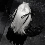 diotchi ﾒ