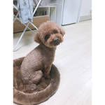 회장이의 그룹