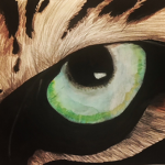 DE rp Y Tigerz :3