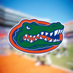 [NCFAA] Florida Gators Stadium icon