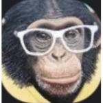 Monke's Haven