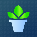 House Plant Studios