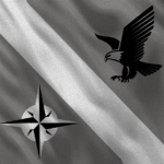 The First Alpha Air Force
