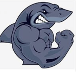 The Shark Gang Empire Army