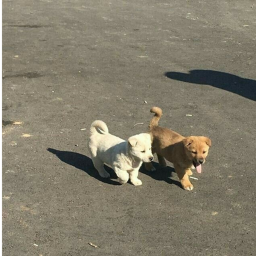 ⊹