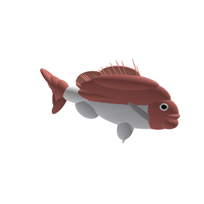Red Snapper
