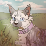 { Meadow Clan }