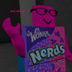 NERD HANGOUT (BETA)