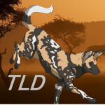 The Lion Den Official Group!