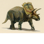 Dino Detectives