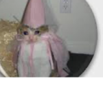 CAT HAVE BIRTHDAY