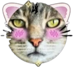 RWWUF