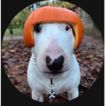Robotplay's robux giveaways