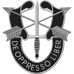 [USA] Special Forces 1965