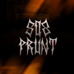 PRUNT RECORDS Group Thumbnail
