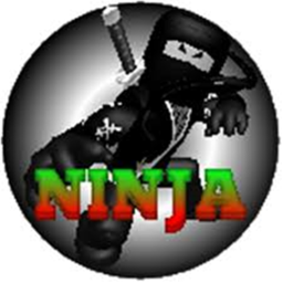 Ninja Training Obby