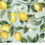 LeMoN bArK