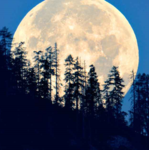 Moon' Studio