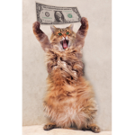 1 DOLLARY DOO