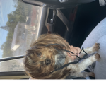 Lɪᴢᴢɪᴇs ɢʀᴏᴜᴘ <3