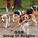 Group Of Beagles