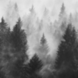 ✧