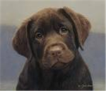puppy lovers group 1599