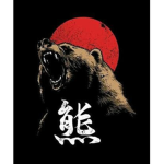 Agressive Bears (TTK)
