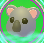 Space Koala