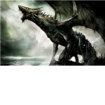 the black fire dragons
