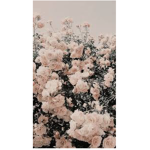 ᴀᴇsᴛʜᴇɪᴄ.ᴄʟᴏᴛʜᴇs.xᴏxᴏ