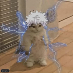 Meow meow groof groof