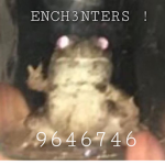 ENCH3NTERS !
