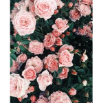 dazzling rose