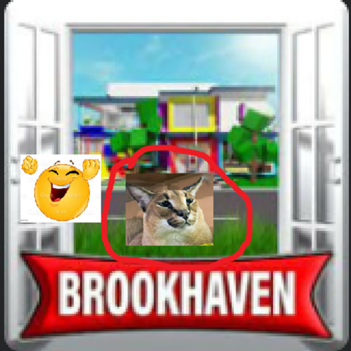 Brookhaven rp or Livetiopia or Redcliff City