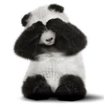 Pandas of G-Nation
