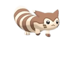 Furret gets skittles