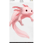Axolotl adorable~