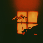 selfcupid's Clothing.