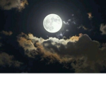Love moon group