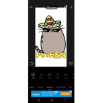 Pusheen fan!!