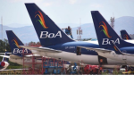 Airplane fly