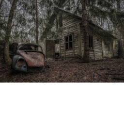 The Forest (SCARY VERSION)