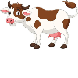 one cow