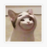 POPCAT GOD IS HERE