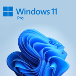 Windows 11 Pro