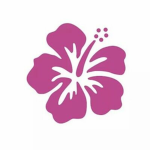 Hibiscus Shop