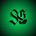 SYLGIS Studio