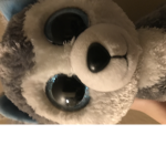 Roblox adopt me