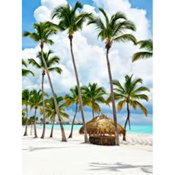 Vacation Tycoon!